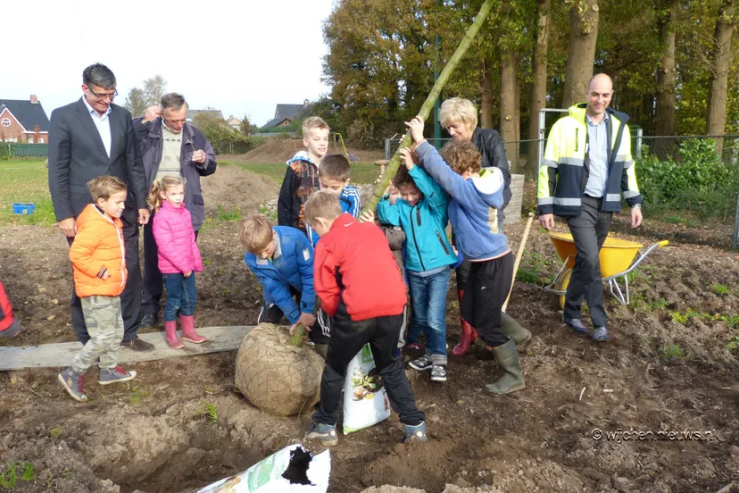 de uitloper planten perenboom