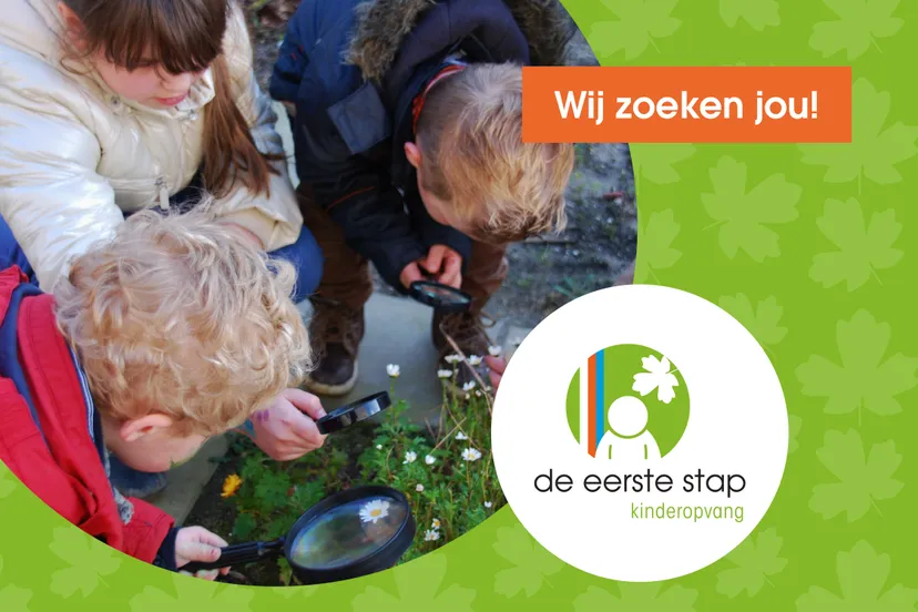 des wij zoeken jou bso