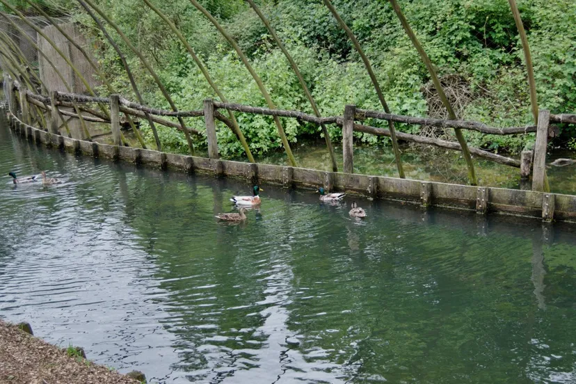 dsc 5626 2 e1549352143902