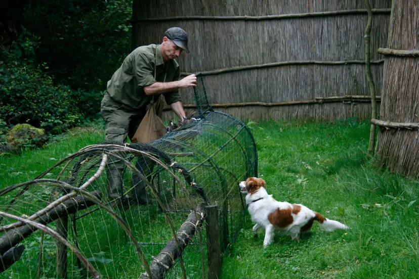 eendenkooi batenburg