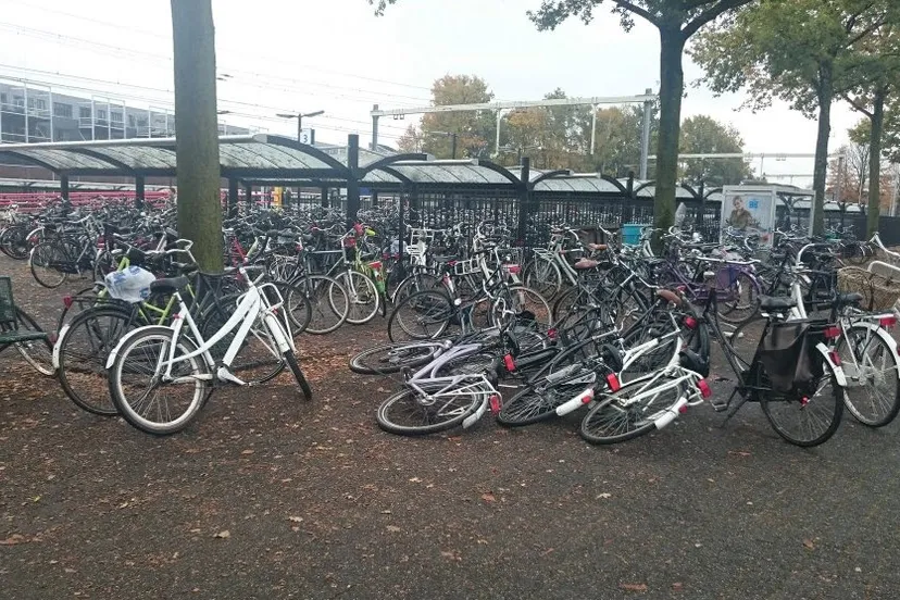 fietsen station bezaaid