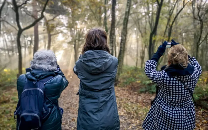 fotowandelclub wijchen 915x518 1