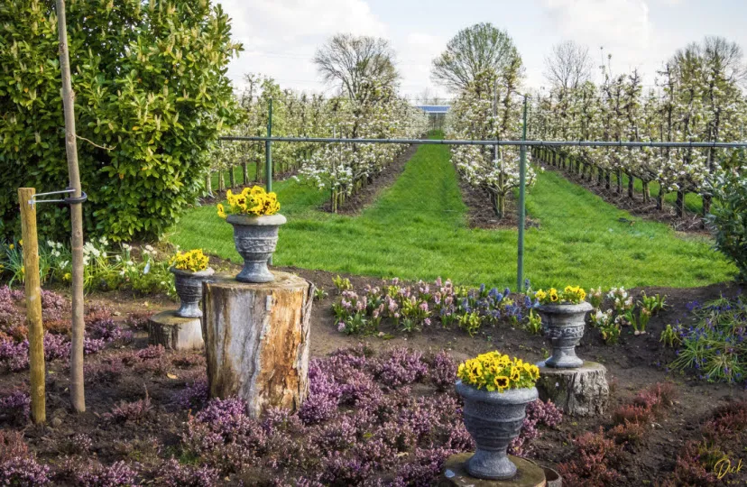 groen genieten lepona 00