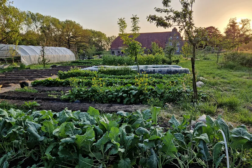 heerlijckheid het vormer