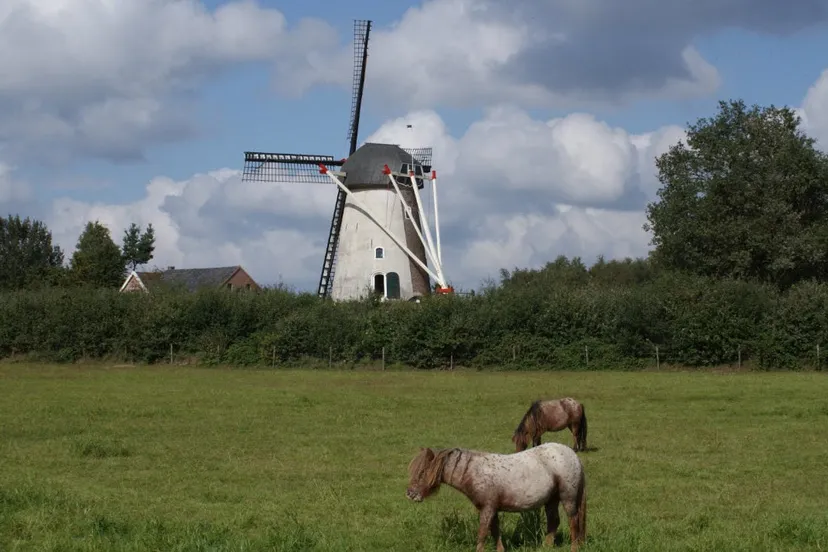 hernense molen e1553178227106