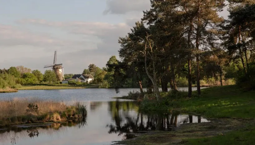 hernense molen ton rothengatter