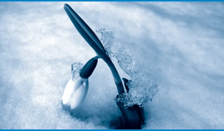 het blauwe boekje 2016