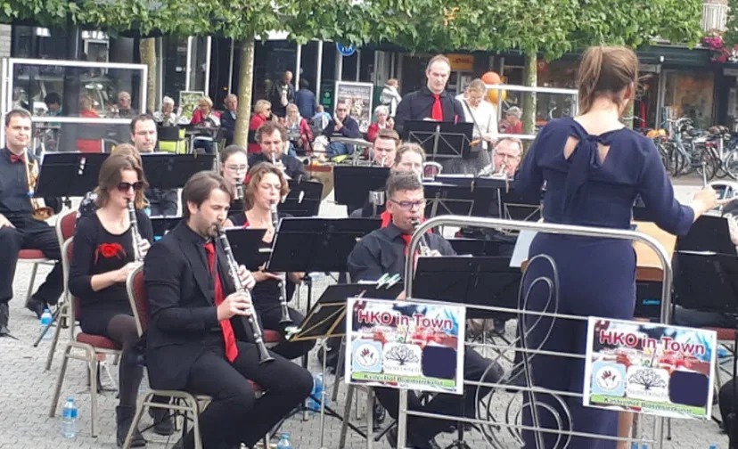 het kerkeveld orkest 070619