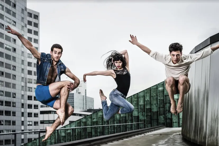 holland dance arrash nikkhah