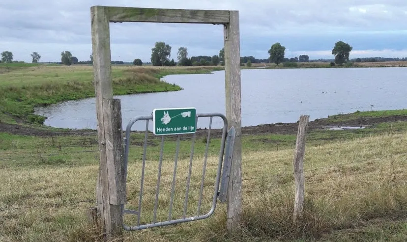 honden aan de lijn e1554620973867