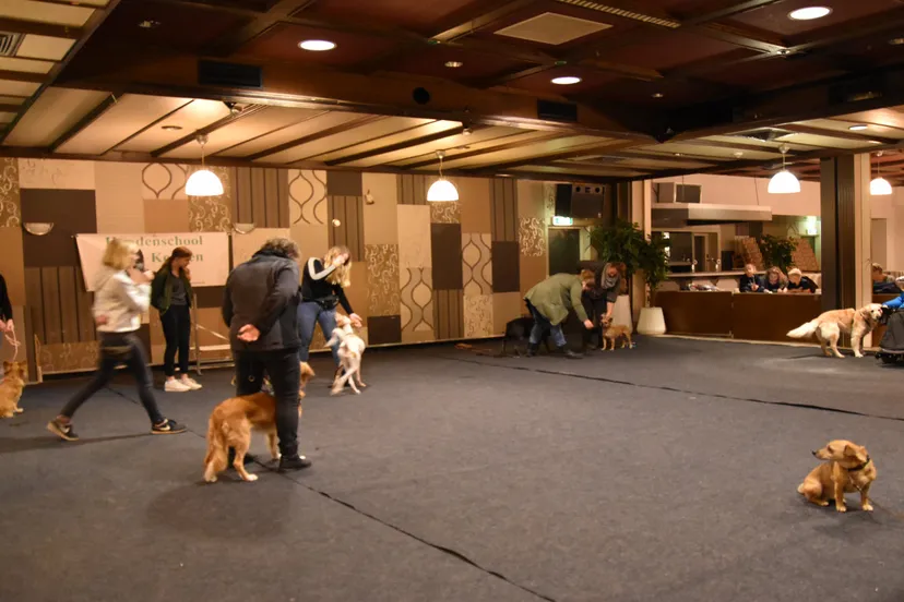 hondenschool en uitlaatservice kersten 0007