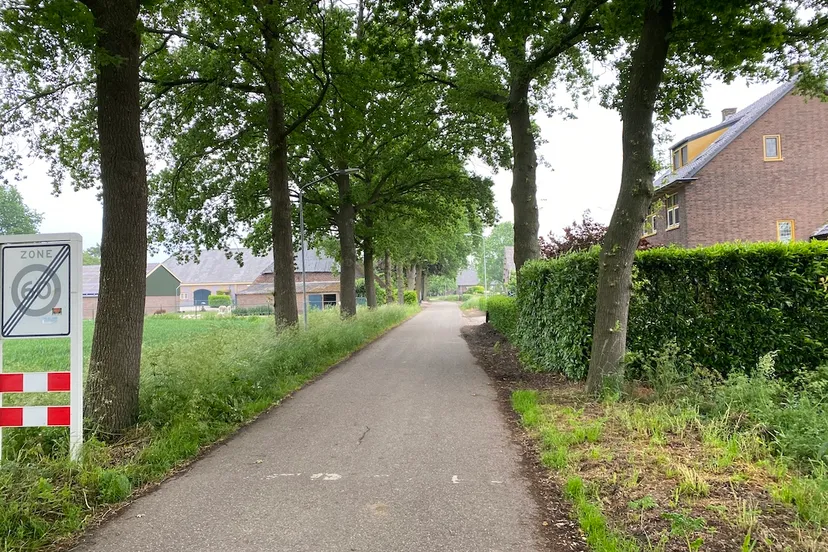 impressie lagestraat niftrik met eikenbomen