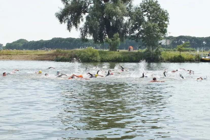 jan de koele 2015 01