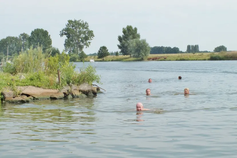 jan de koele 2015 03