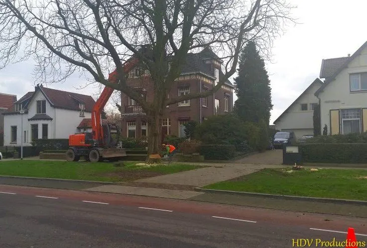 kastanjebomen kasteellaan 04