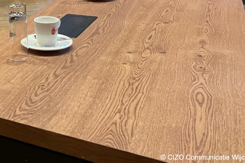 kasteel wijchen img 1856