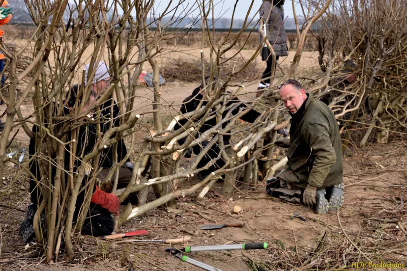 maasheggen balgoy 2018 11 1024x683 1