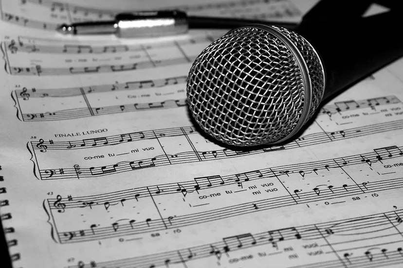 microphone 805256 1280