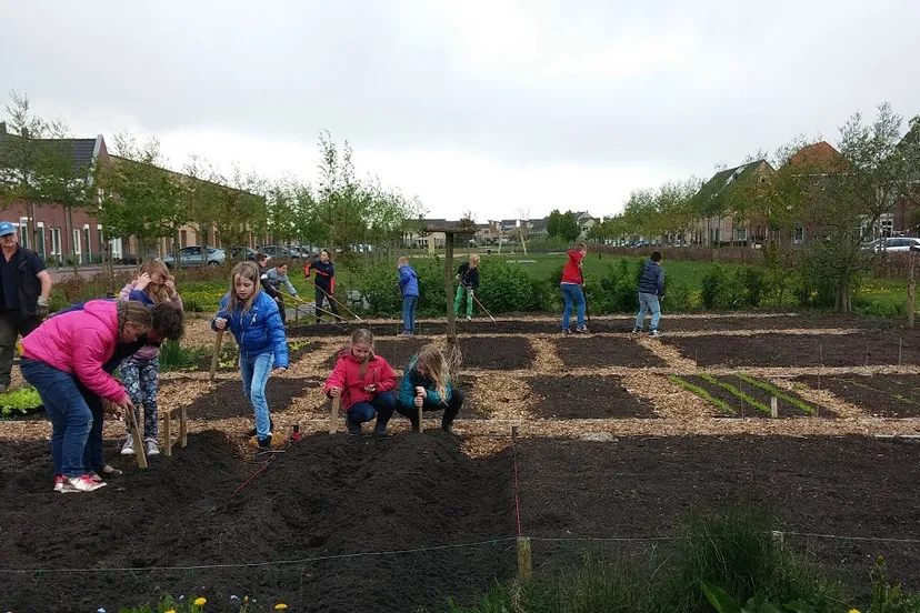moes en pluktuin 01