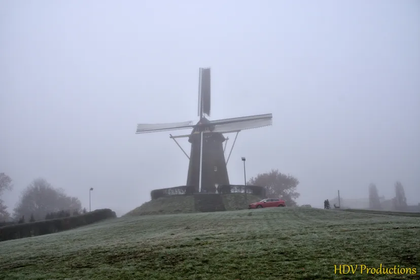 molen speculaas 2