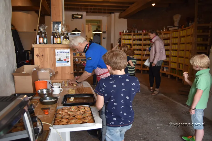molendag wijchen 2017 22