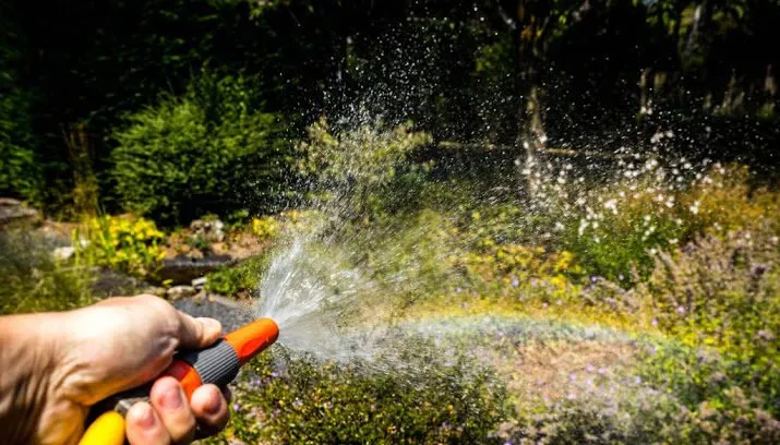 na zonneschijn komt regen 715x408