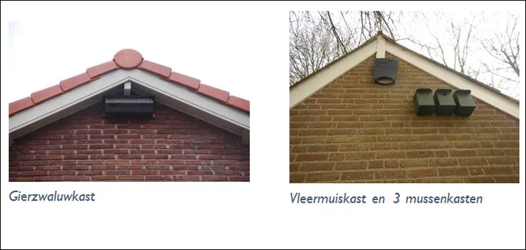 nestkastjes