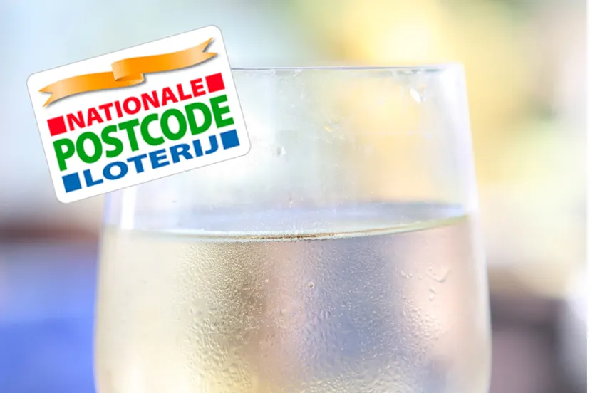 npl 14ecollage fotor fotor