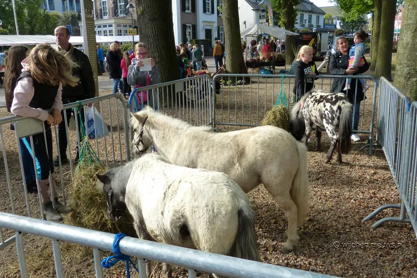 oaardenmarkt wijchen 2016 38