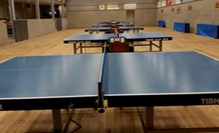 oni tafeltennis