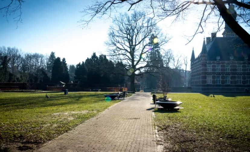 ornamenten kasteeltuin 02