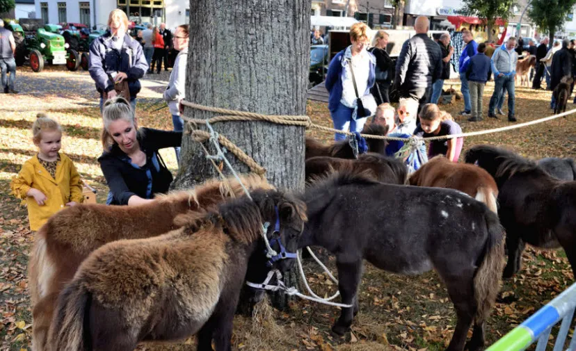 paardenmarkt 2018 00