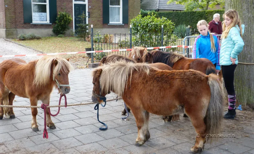 paardenmarkt wijchen 041018