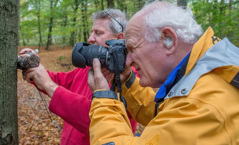 paddestoelen fotograveren