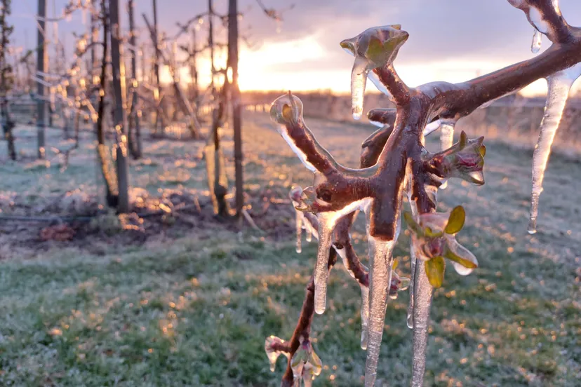 photo 2023 01 17 09 57 06