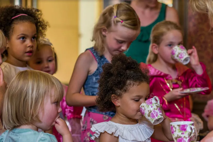 prinsessen kasteel hernen