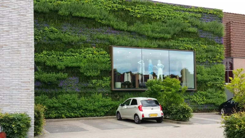 producten 03 specials foto 01 specials groene geveljpg