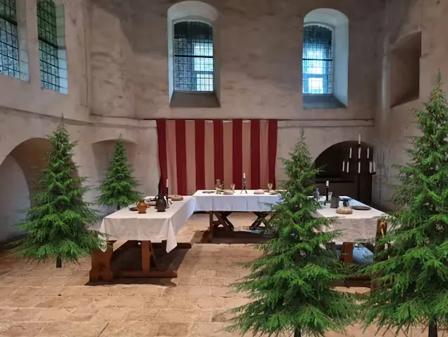 ridderzaal hernen kerstbomen