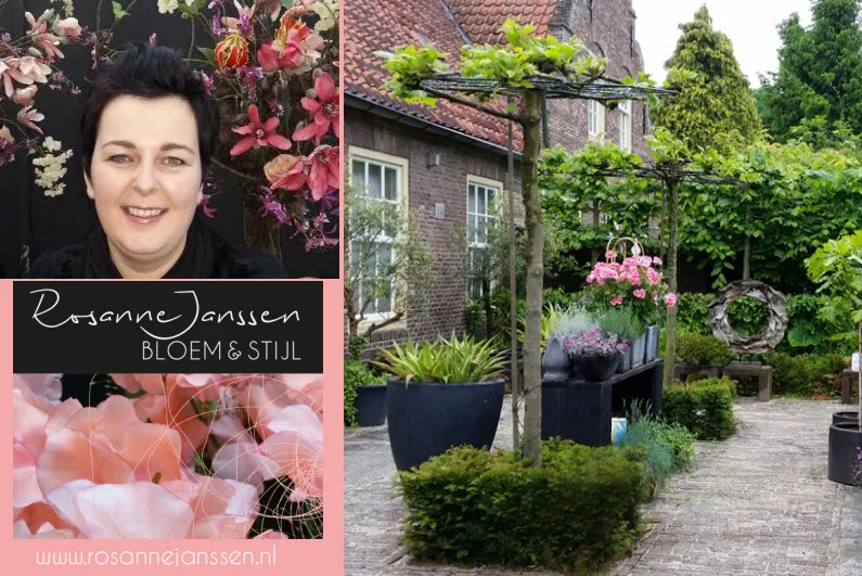 rosanne janssen nieuw bedrijf