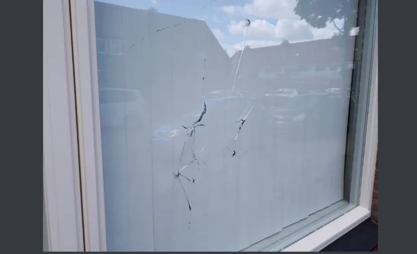 ruit diepvoorde 2019