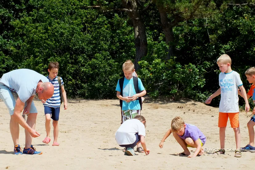 schatgraven de bije dries 07