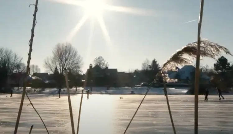 schermafbeelding 2021 02 15 om 175035