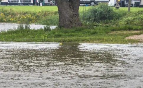 schermafbeelding 2021 07 16 om 113314