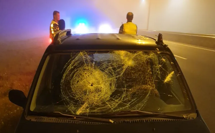 schermafbeelding 2021 10 07 om 112347