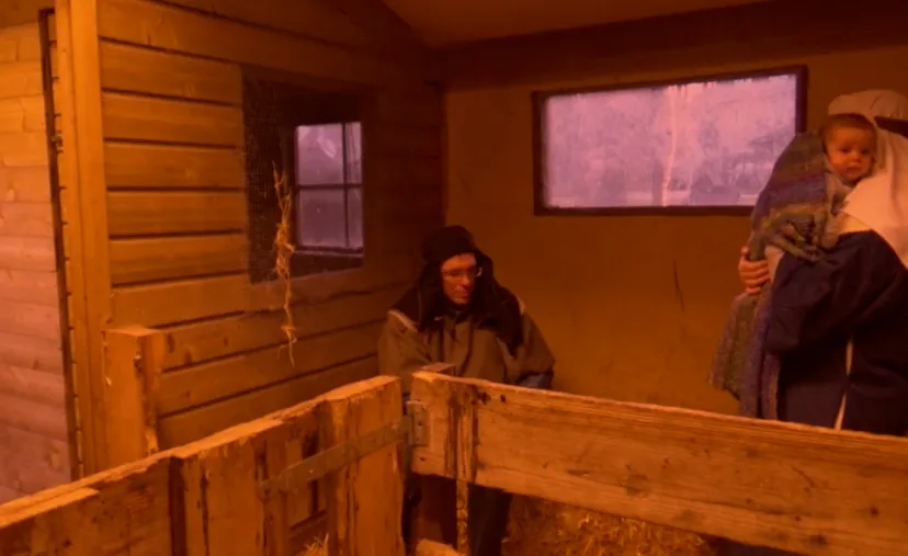 schermafbeelding 2021 12 14 om 153016