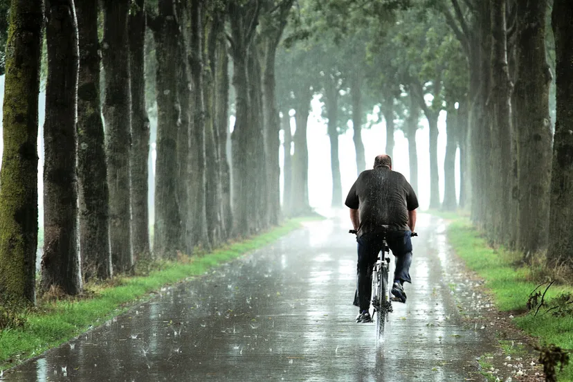 schermafbeelding 2021 12 21 om 140610