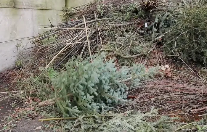 schermafbeelding 2022 01 04 om 122716