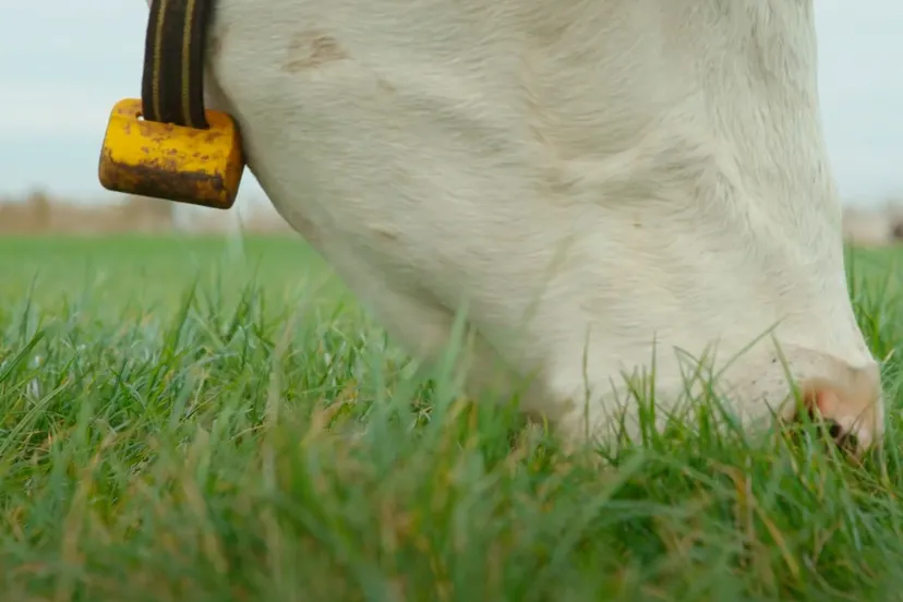 schermafbeelding 2022 08 02 om 123917