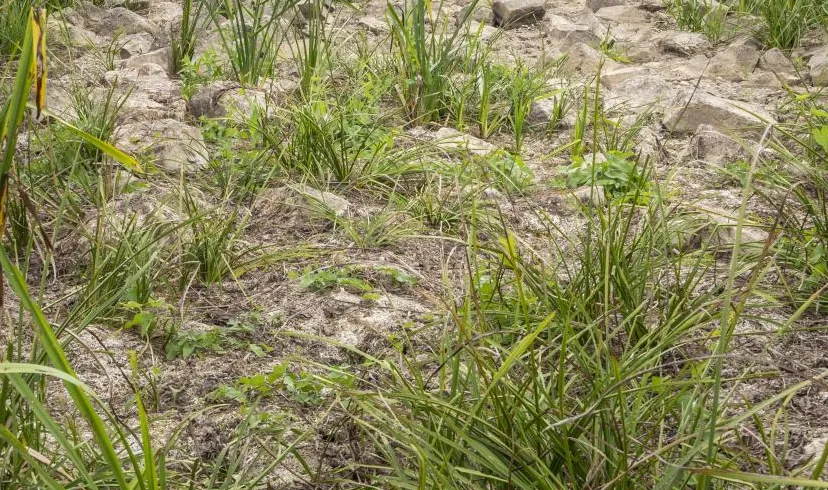 schermafbeelding 2022 08 21 om 150038