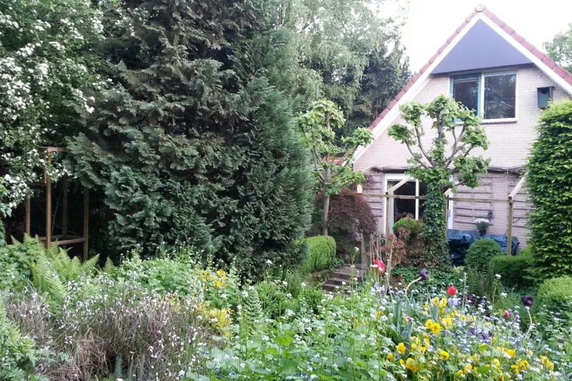 schermafbeelding 2023 03 06 om 142103